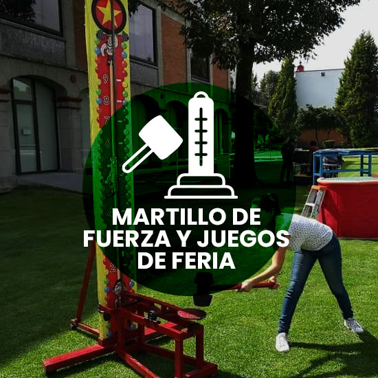 Obleas con Carritos de Exhibición y Stands Obleas con Carritos de Exhibición y Stands